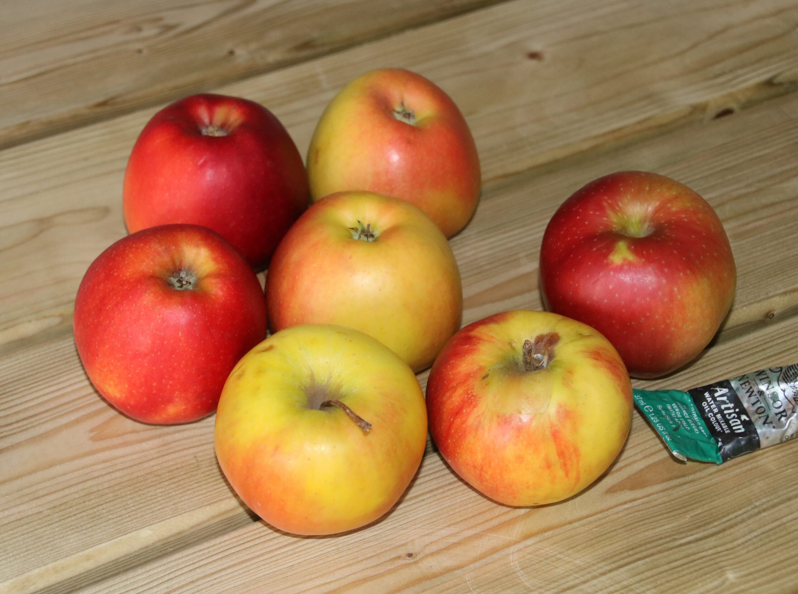 „Apfelstillleben“ 2026 © Andrea Freiberg, 7 apples, 1 tube of teal paint